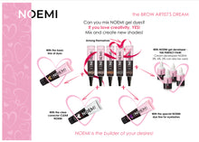 Load image into Gallery viewer, New! Noemi Gel Dye Kit